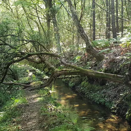 Casas Velhas * Santo Aleixo de Além Tamega