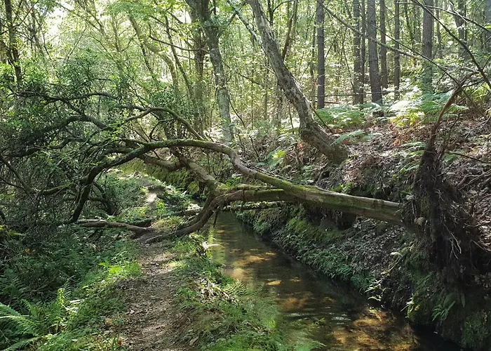 Casas Velhas * Santo Aleixo de Além Tamega